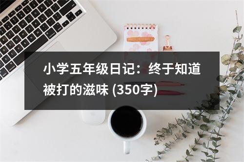 小學(xué)五年級(jí)日記：終于知道被打的滋味 (350字)