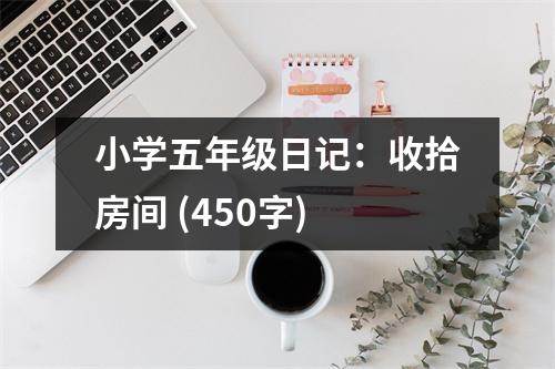 小學(xué)五年級(jí)日記：收拾房間 (450字)
