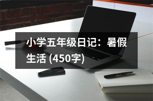 小學五年級日記：暑假生活 (450字)