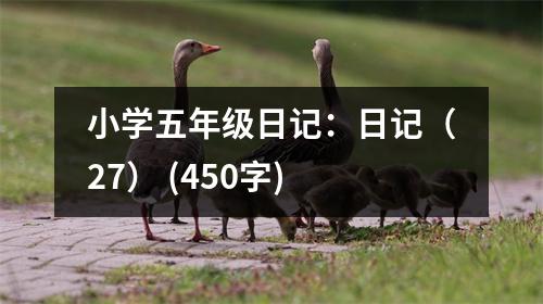小學(xué)五年級(jí)日記：日記（27） (450字)