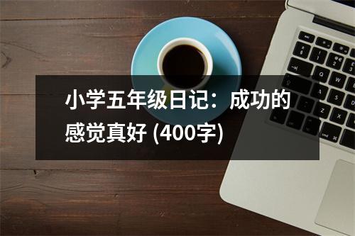 小學(xué)五年級(jí)日記：成功的感覺真好 (400字)