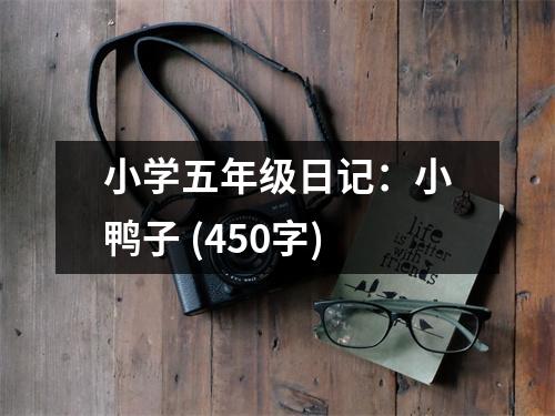 小學(xué)五年級(jí)日記：小鴨子 (450字)