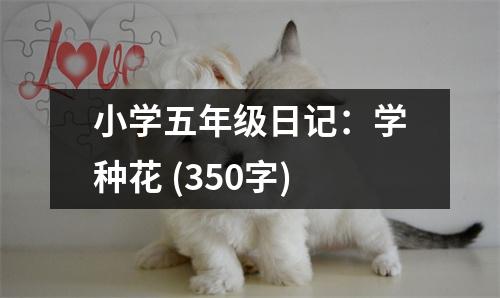 小學(xué)五年級日記：學(xué)種花 (350字)