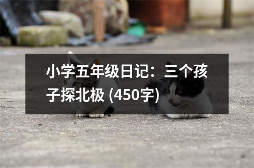 小學(xué)五年級(jí)日記：三個(gè)孩子探北極 (450字)