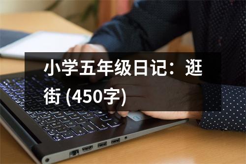 小學五年級日記：逛街 (450字)