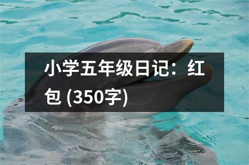 小學(xué)五年級日記：紅包 (350字)