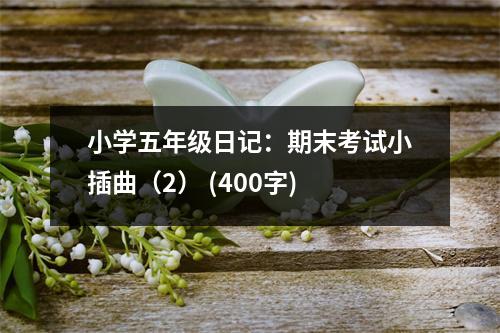 小學(xué)五年級(jí)日記：期末考試小插曲（2） (400字)