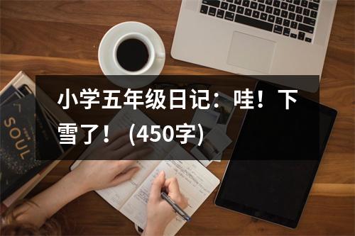 小學(xué)五年級(jí)日記：哇！下雪了！ (450字)