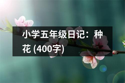 小學(xué)五年級(jí)日記：種花 (400字)