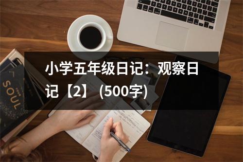 小學(xué)五年級日記：觀察日記【2】 (500字)