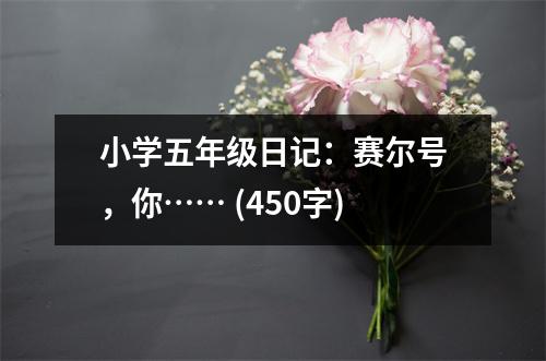 小學(xué)五年級日記：賽爾號，你…… (450字)