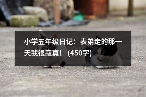 小學(xué)五年級(jí)日記：表弟走的那一天我很寂寞！ (450字)