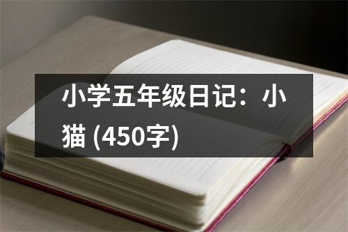 小學五年級日記：小貓 (450字)