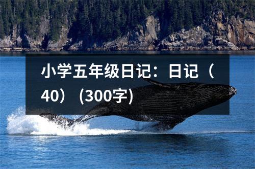 小學(xué)五年級日記：日記（40） (300字)