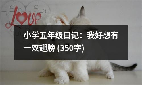 小學(xué)五年級日記：我好想有一雙翅膀 (350字)