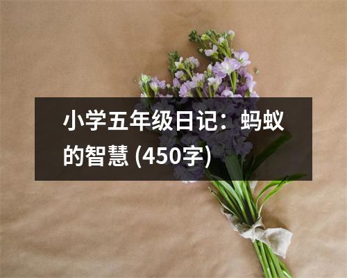 小學(xué)五年級(jí)日記：螞蟻的智慧 (450字)