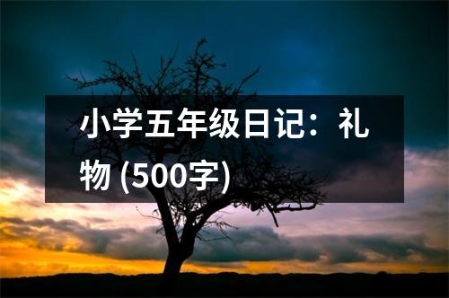 小學(xué)五年級日記：禮物 (500字)