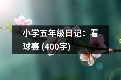 小學(xué)五年級(jí)日記：看球賽 (400字)