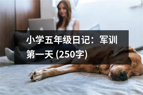 小學(xué)五年級日記：軍訓(xùn)第一天 (250字)