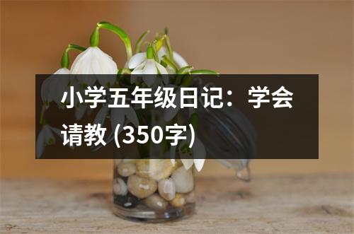 小學(xué)五年級日記：學(xué)會請教 (350字)