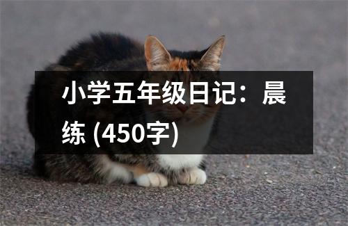 小學(xué)五年級日記：晨練 (450字)