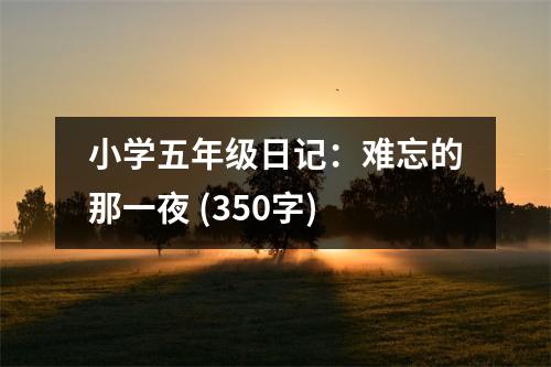 小學(xué)五年級(jí)日記：難忘的那一夜 (350字)