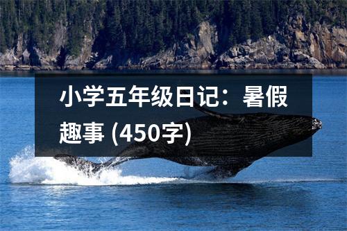 小學(xué)五年級(jí)日記：暑假趣事 (450字)