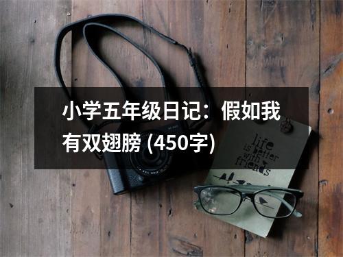小學五年級日記：假如我有雙翅膀 (450字)