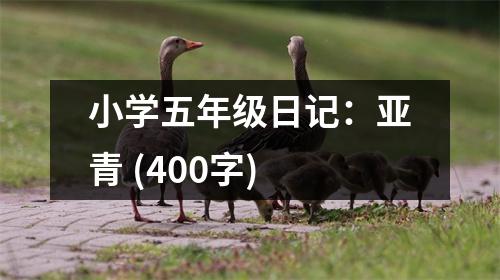 小學(xué)五年級日記：亞青 (400字)