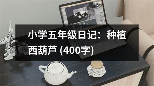 小學(xué)五年級(jí)日記：種植西葫蘆 (400字)
