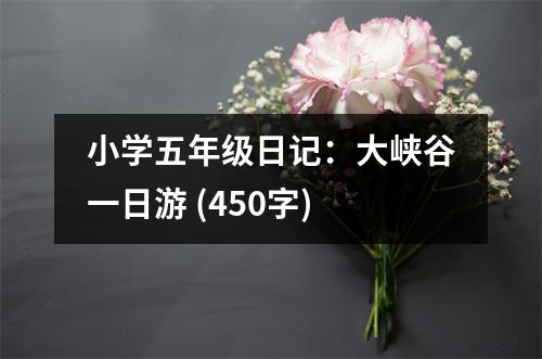 小學(xué)五年級(jí)日記：大峽谷一日游 (450字)