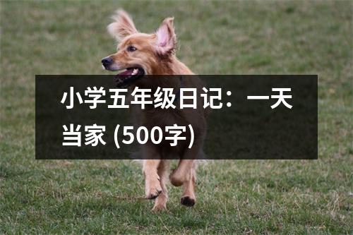 小學(xué)五年級(jí)日記：一天當(dāng)家 (500字)