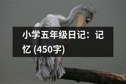 小學(xué)五年級(jí)日記：記憶 (450字)