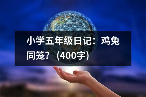 小學(xué)五年級(jí)日記：雞兔同籠？ (400字)
