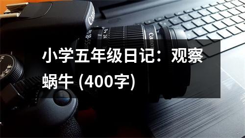 小學(xué)五年級(jí)日記：觀察蝸牛 (400字)