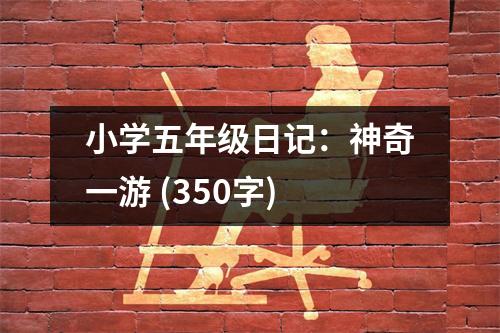 小學(xué)五年級(jí)日記：神奇一游 (350字)