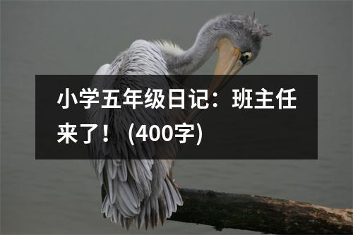 小學(xué)五年級(jí)日記：班主任來了！ (400字)