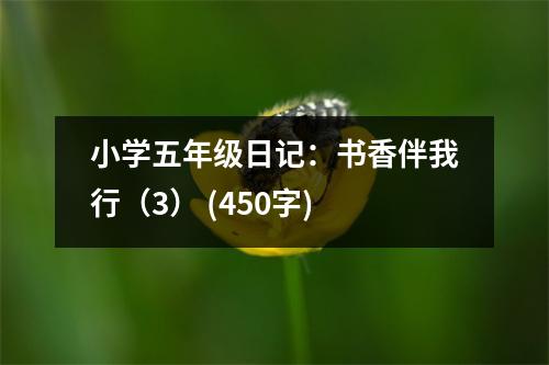 小學五年級日記：書香伴我行（3） (450字)