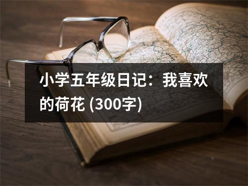 小學(xué)五年級(jí)日記：我喜歡的荷花 (300字)