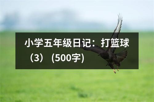 小學(xué)五年級日記：打籃球（3） (500字)