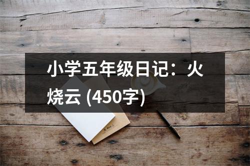小學(xué)五年級日記：火燒云 (450字)