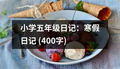 小學五年級日記：寒假日記 (400字)