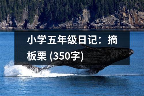 小學五年級日記：摘板栗 (350字)
