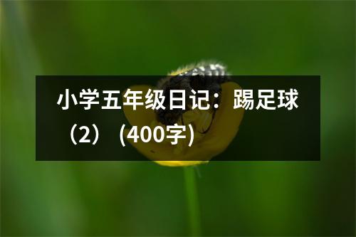 小學五年級日記：踢足球（2） (400字)