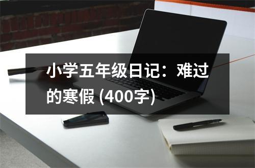 小學(xué)五年級(jí)日記：難過的寒假 (400字)