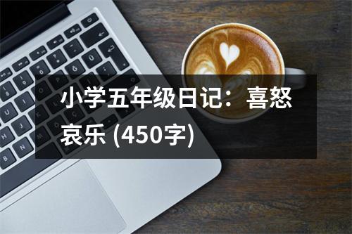 小學(xué)五年級日記：喜怒哀樂 (450字)
