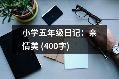 小學五年級日記：親情美 (400字)