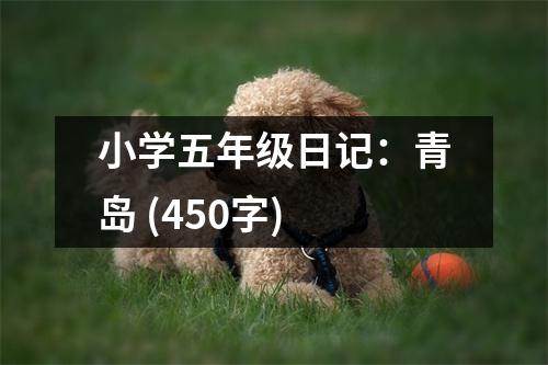 小學五年級日記：青島 (450字)