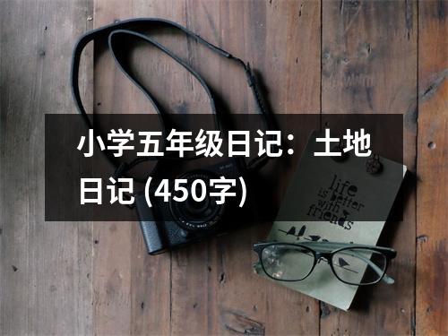 小學五年級日記：土地日記 (450字)