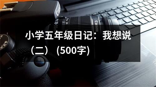 小學(xué)五年級(jí)日記：我想說（二） (500字)